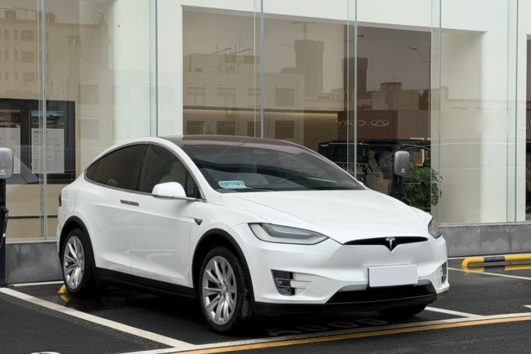 Used Tesla Model X 2019 Long-Range Version Exterior 1