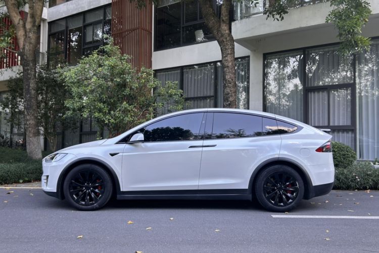 Used Tesla Model X 2019 Long-Range Version Exterior 10