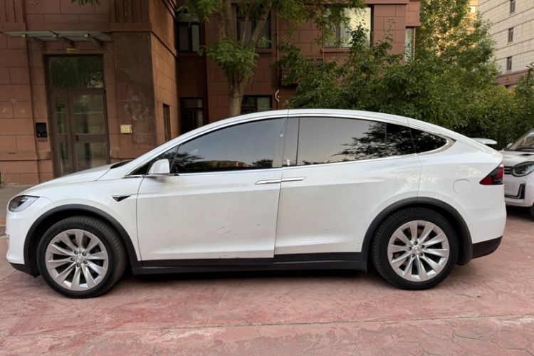 Used Tesla Model X 2019 Long-Range Version Exterior 10