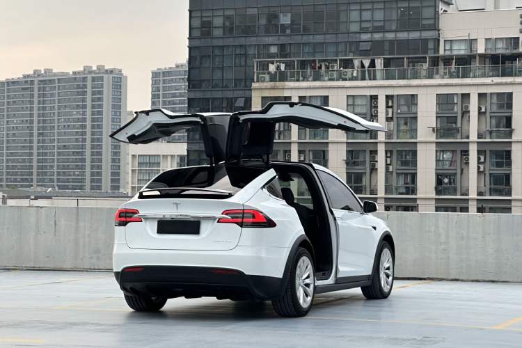 Used Tesla Model X 2019 Long-Range Version Exterior 10