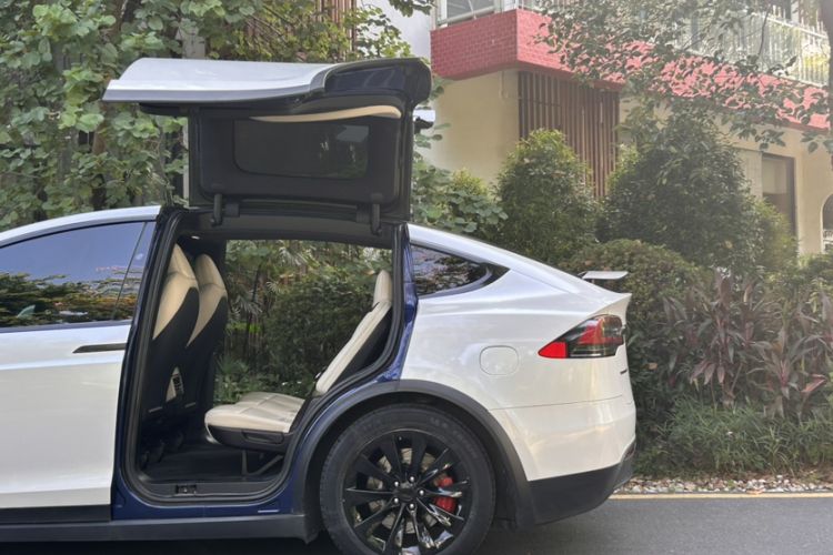 Used Tesla Model X 2019 Long-Range Version Exterior 2