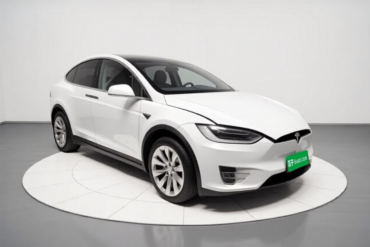 Used Tesla Model X 2019 Long-Range Version Exterior 2