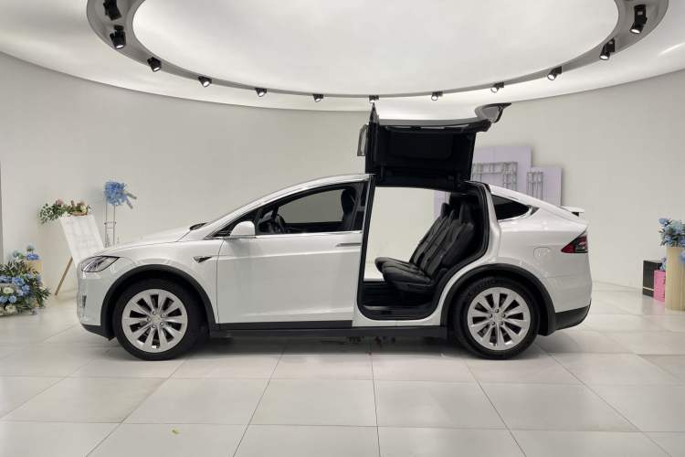 Used Tesla Model X 2019 Long-Range Version Exterior 3