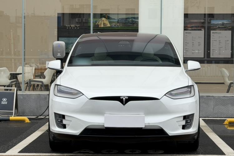 Used Tesla Model X 2019 Long-Range Version Exterior 4