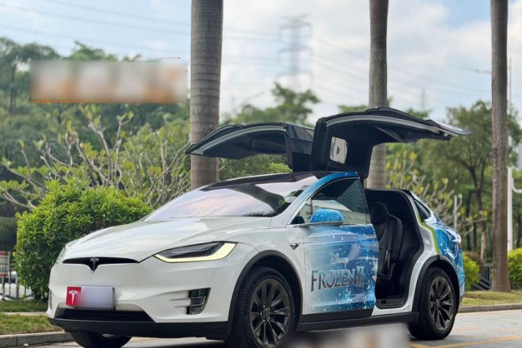 Used Tesla Model X 2019 Long-Range Version Exterior 6