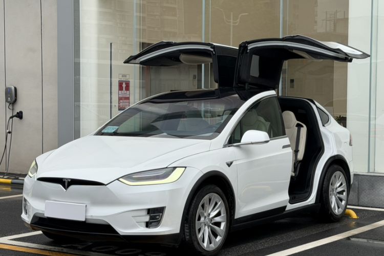 Used Tesla Model X 2019 Long-Range Version Exterior 6
