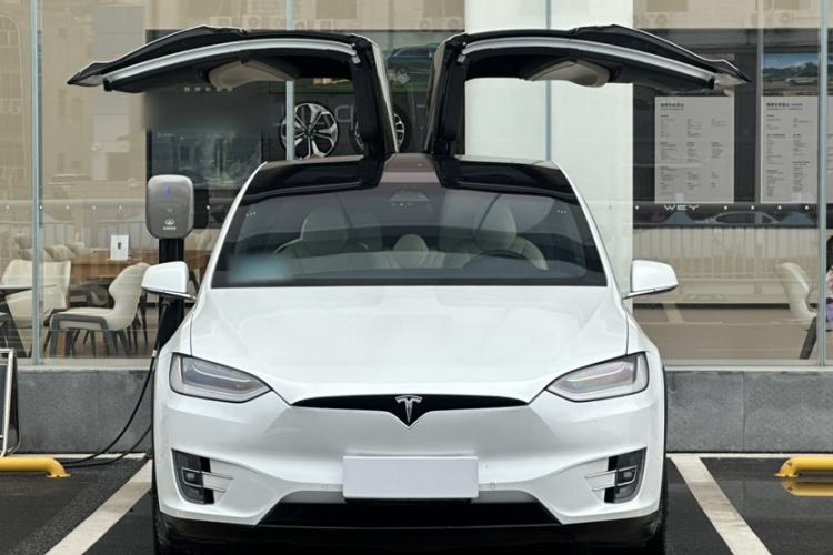 Used Tesla Model X 2019 Long-Range Version Exterior 8