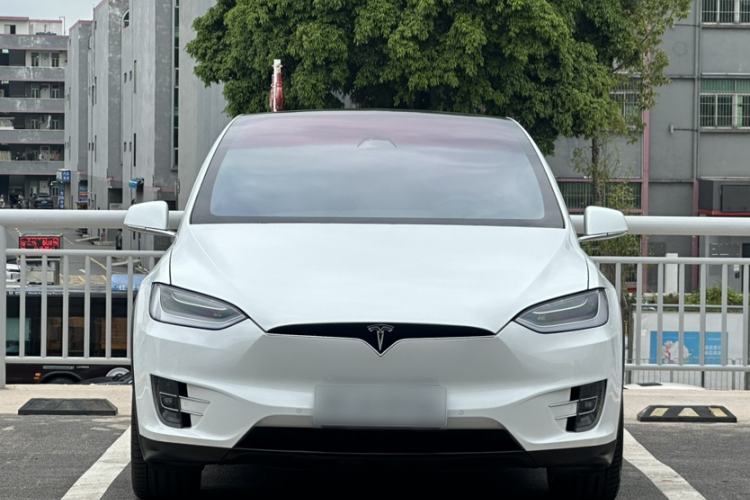Used Tesla Model X 2019 Long-Range Version Exterior 9