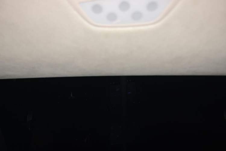 Used Tesla Model X 2019 Standard Range Version Headliner