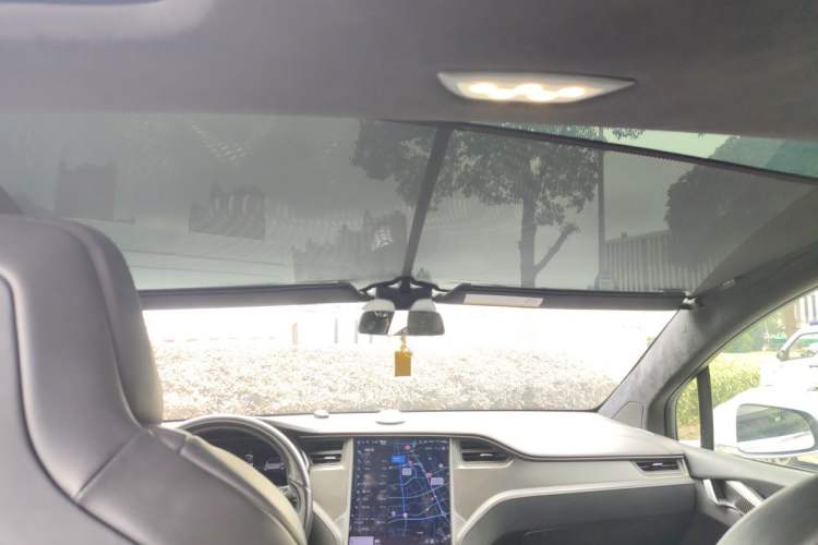 Used Tesla Model X 2019 Performance High-Performance Edition Headliner