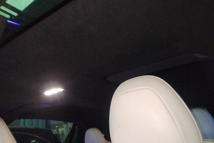 Used Tesla Model X 2019 Long-Range Version Headliner