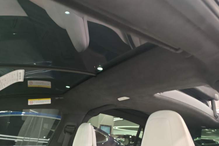 Used Tesla Model X 2019 Long-Range Version Headliner