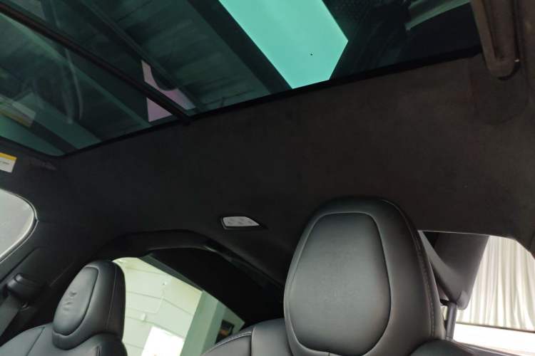 Used Tesla Model X 2019 Performance High-Performance Edition Headliner