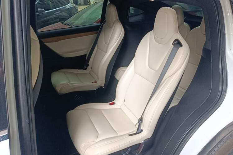 Used Tesla Model X 2019 Performance High-Performance Edition Left Rear Seat