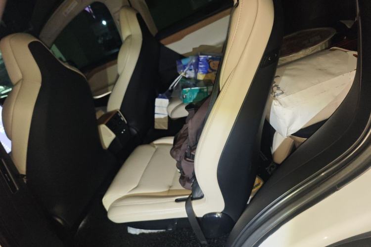 Used Tesla Model X 2019 Standard Range Version Left Rear Seat