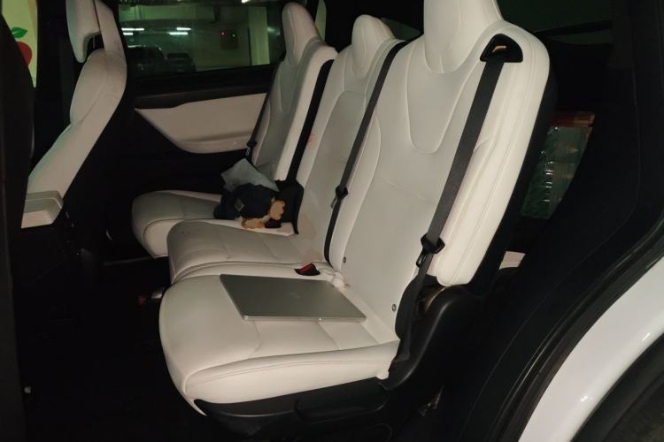Used Tesla Model X 2019 Performance High-Performance Edition Left Rear Seat