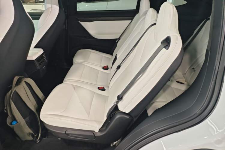 Used Tesla Model X 2019 Performance High-Performance Edition Left Rear Seat