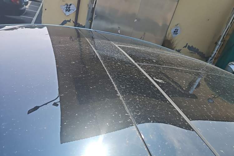 Used Tesla Model X 2019 Long-Range Version Roof