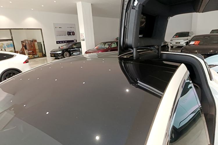 Used Tesla Model X 2019 Long-Range Version Roof