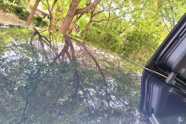 Used Tesla Model X 2019 Performance High-Performance Edition Roof