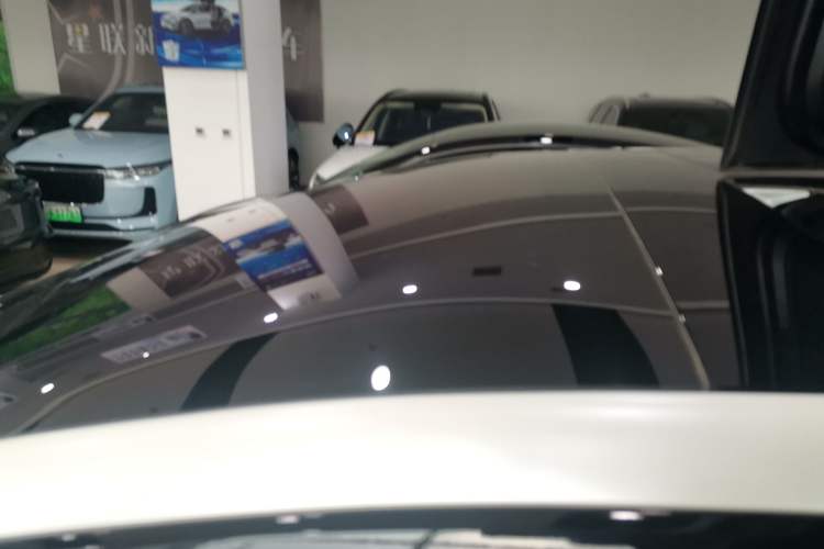 Used Tesla Model X 2019 Long-Range Version Roof