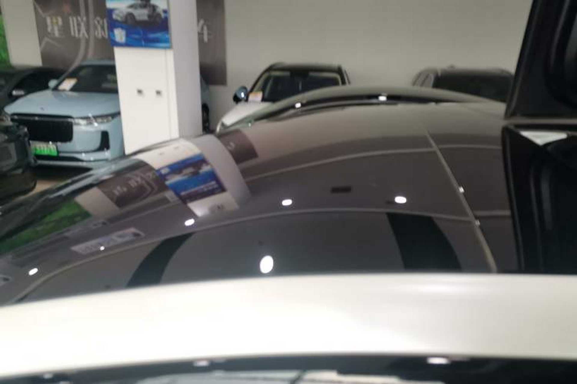 Used Tesla Model X 2019 Long-Range Version Roof