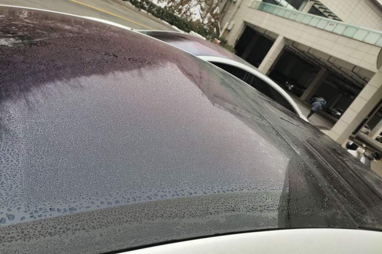 Used Tesla Model X 2019 Long-Range Version Roof
