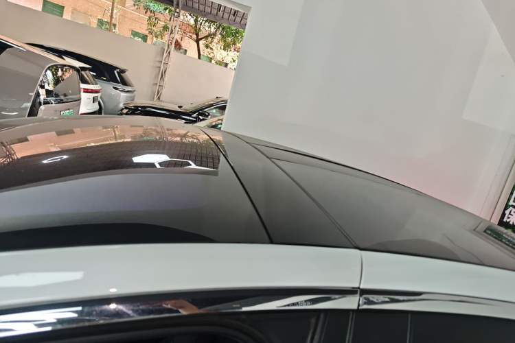 Used Tesla Model X 2019 Long-Range Version Roof