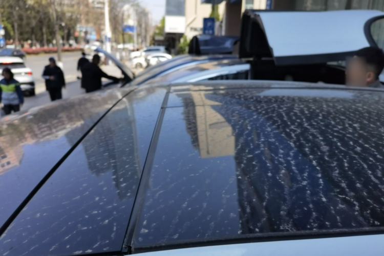 Used Tesla Model X 2019 Long-Range Version Roof