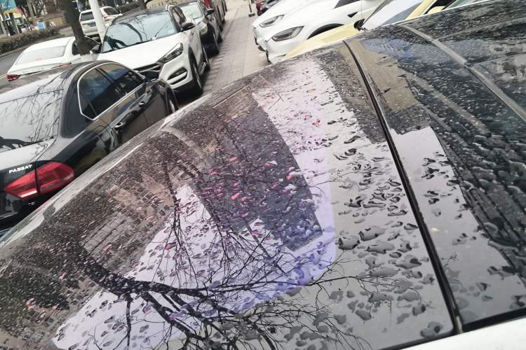 Used Tesla Model X 2019 Long-Range Version Roof