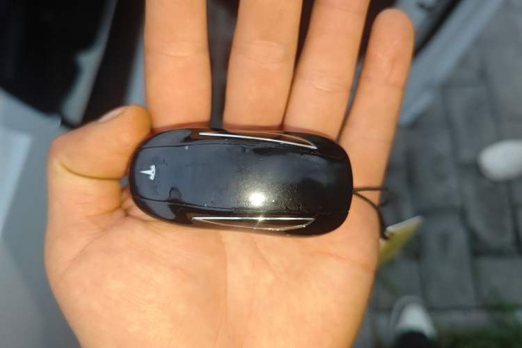Used Tesla Model X 2019 Long-Range Version Vehicle Key