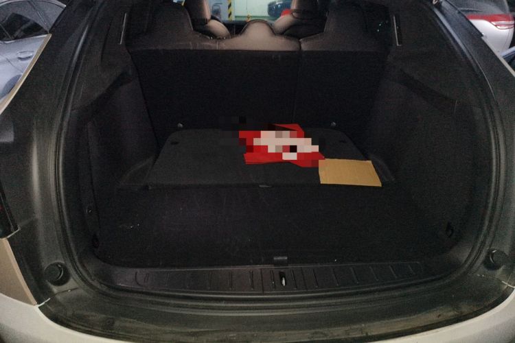 Used Tesla Model X 2019 Long-Range Version Trunk