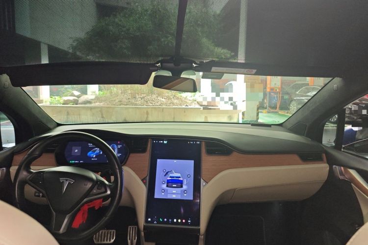 Used Tesla Model X 2020 Performance High-Performance Edition Headliner