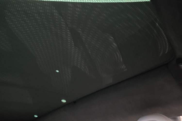 Used Tesla Model X 2020 Performance High-Performance Edition Headliner