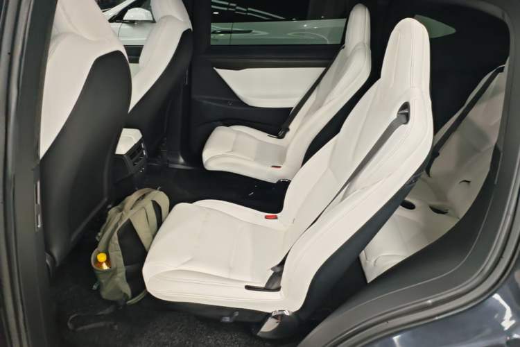 Used Tesla Model X 2020 Performance High-Performance Edition Left Rear Seat