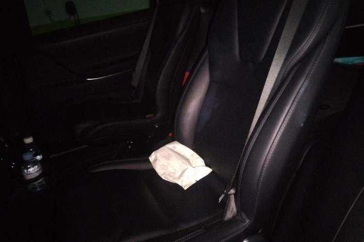 Used Tesla Model X 2020 Performance High-Performance Edition Left Rear Seat