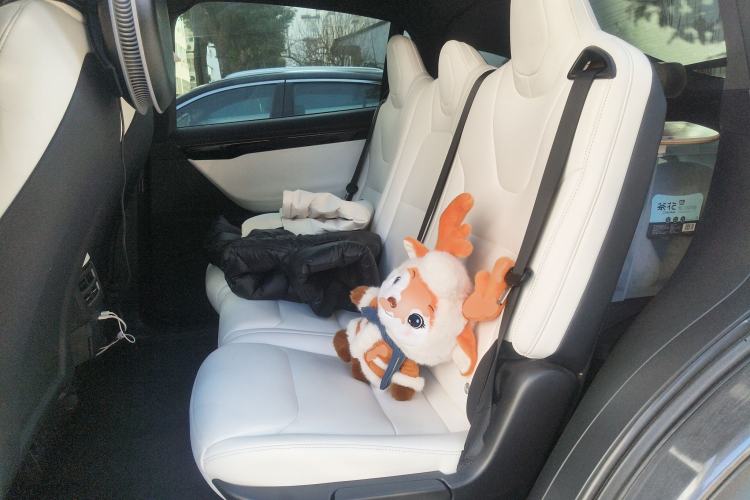Used Tesla Model X 2020 Long-Range Upgrade Version Left Rear Seat