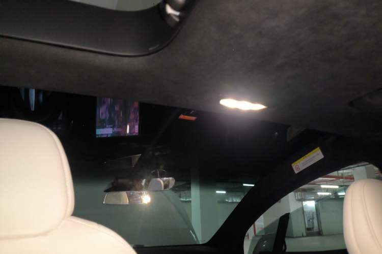 Used Tesla Model X 2020 Performance High-Performance Edition Headliner