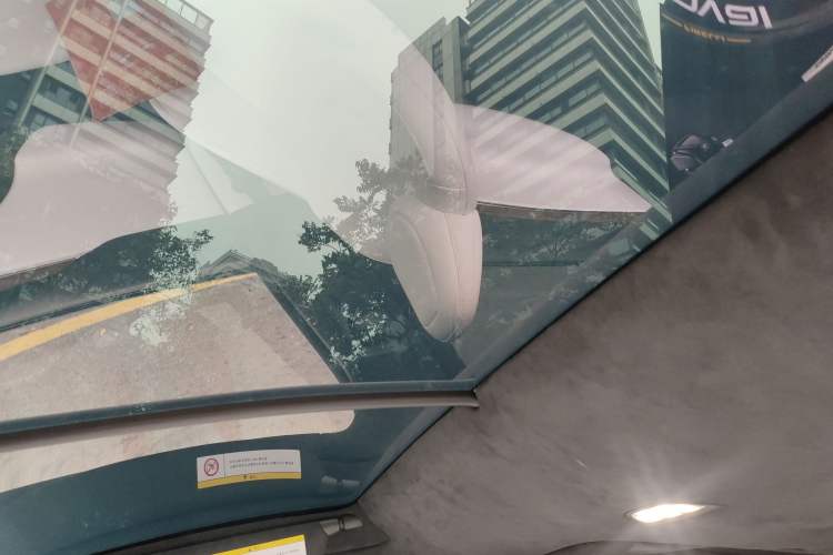 Used Tesla Model X 2023 Dual-Motor All-Wheel-Drive Version Headliner