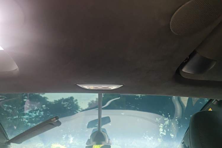 Used Tesla Model X 2023 Dual-Motor All-Wheel-Drive Version Headliner