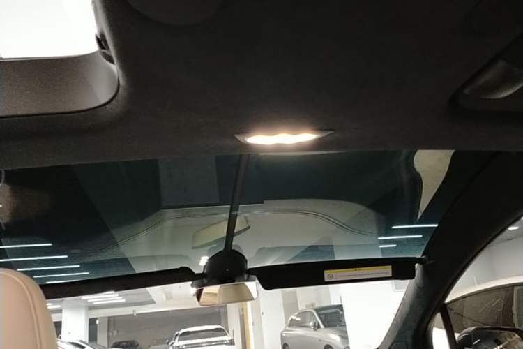 Used Tesla Model X 2023 Dual-Motor All-Wheel-Drive Version Headliner