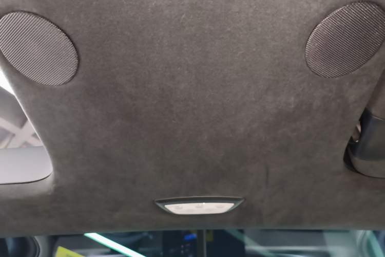 Used Tesla Model X 2023 Dual-Motor All-Wheel-Drive Version Headliner