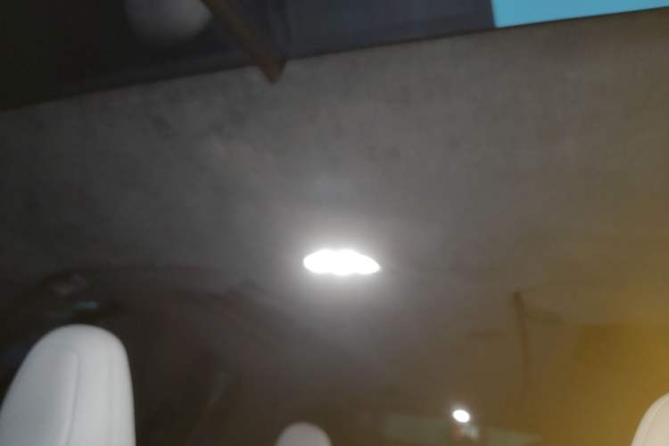 Used Tesla Model X 2023 Dual-Motor All-Wheel-Drive Version Headliner