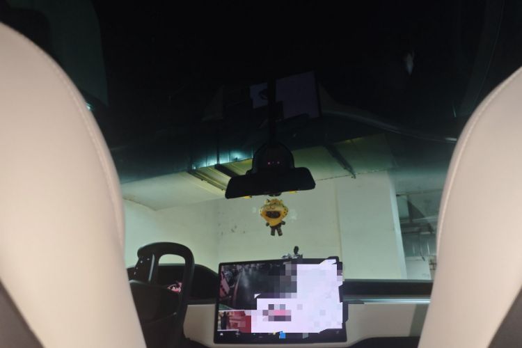 Used Tesla Model X 2023 Dual-Motor All-Wheel-Drive Version Headliner