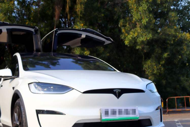 Used Tesla Model X 2023 Dual-Motor All-Wheel-Drive Version Exterior 4