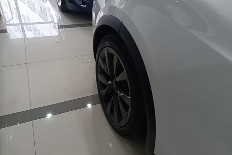 Used Tesla Model X 2023 Dual-Motor All-Wheel-Drive Version Exterior 5