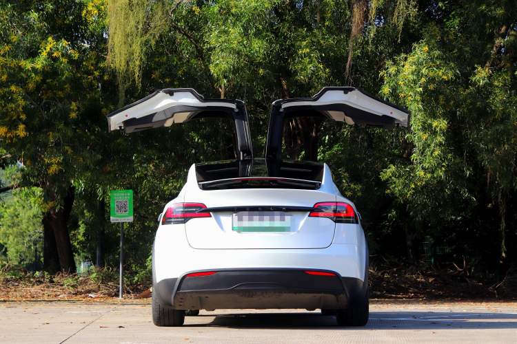 Used Tesla Model X 2023 Dual-Motor All-Wheel-Drive Version Exterior 7