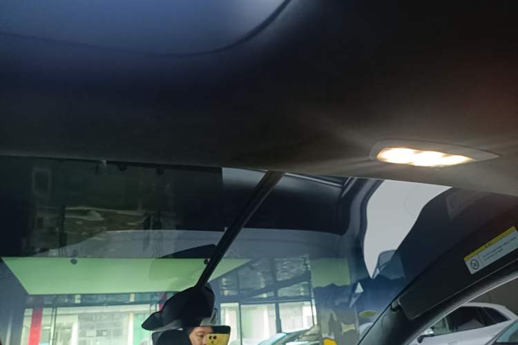 Used Tesla Model X 2023 Three-Motor All-Wheel-Drive Plaid Version Headliner