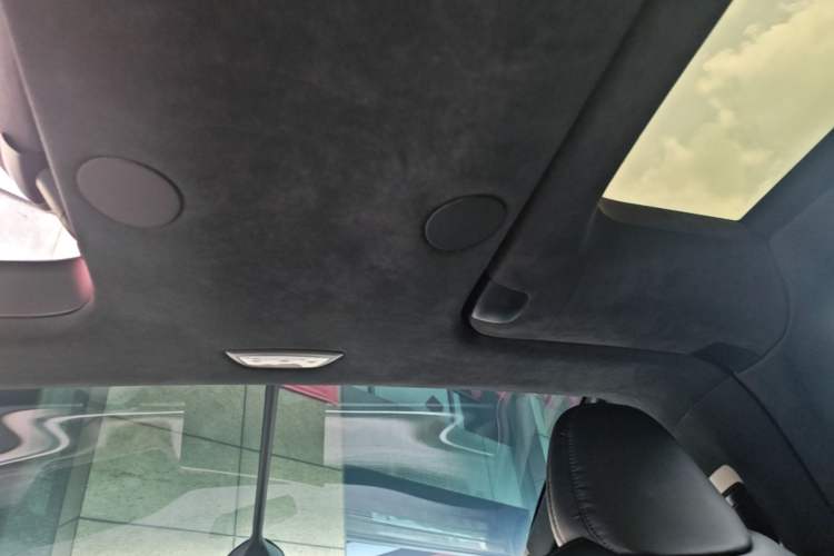 Used Tesla Model X 2023 Dual-Motor All-Wheel-Drive Version Headliner