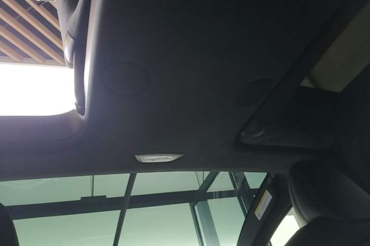 Used Tesla Model X 2023 Dual-Motor All-Wheel-Drive Version Headliner